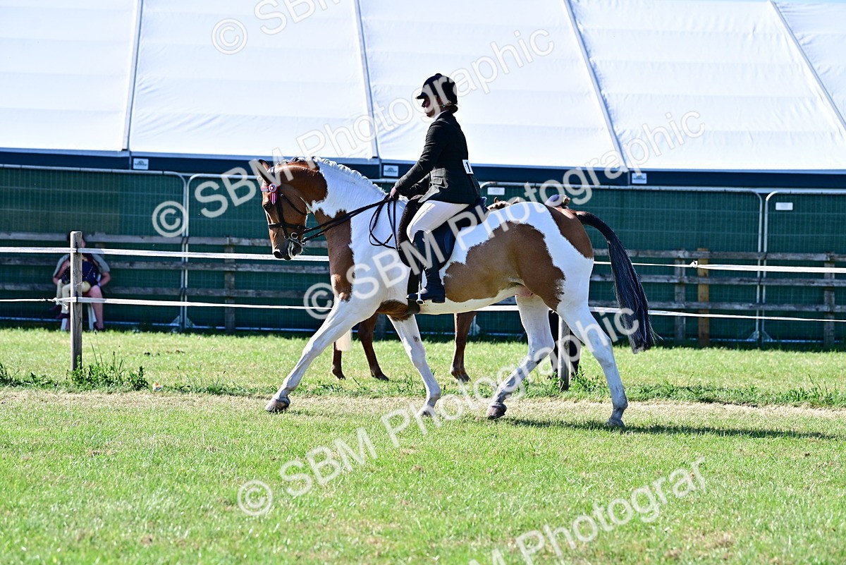 SBM_19533 - Class 101-102 - BSPS LIHS Performance Coloured Horse/Pony