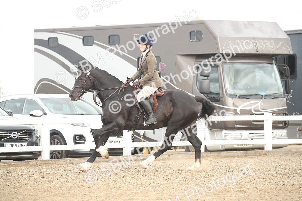 SBM_17733 - Class 508a - Working Veteran 70cm (15-19)