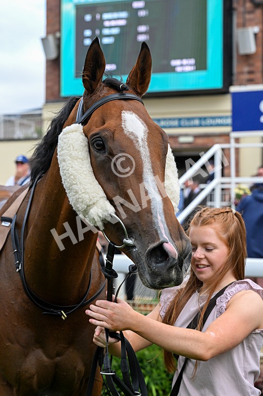 250726-Race 4-Dwindling Funds-1013 - Race 4 15.05pm Sky Bet For The Fans Handicap