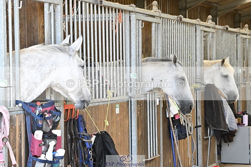 250821B-141341-00499 - Stable Shots and Group Photo