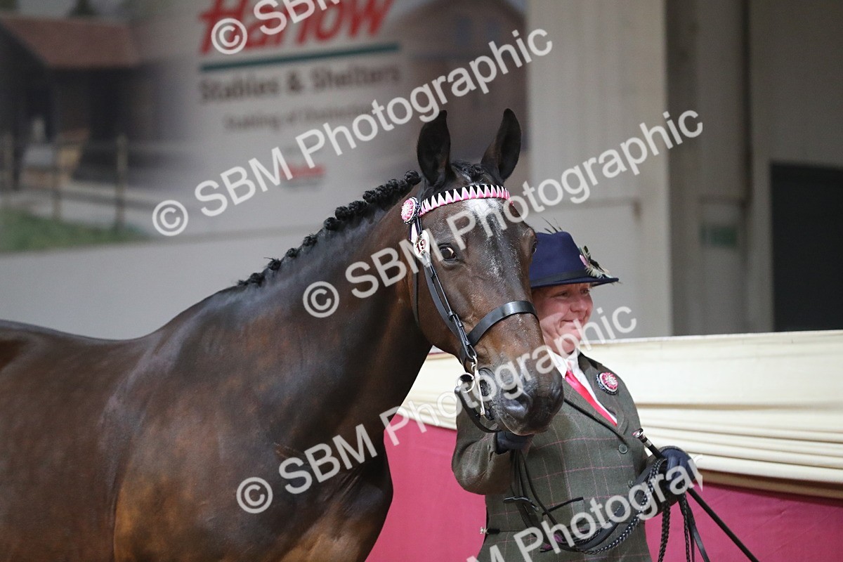 SBM_06205 - Class 9R Regional- IH Pre Vet