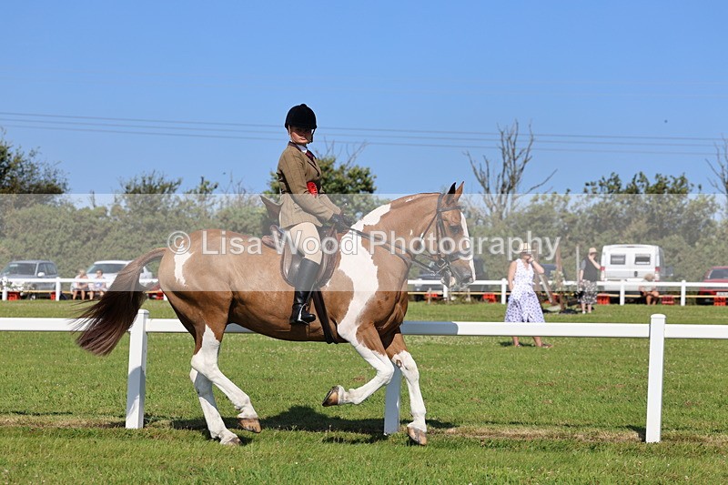 IMG_1635 - Skewbald and Piebald Ridden Championship