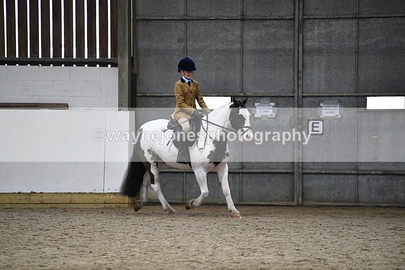 WJ5_7299 - Class 11 Ridden PC - RC Pony