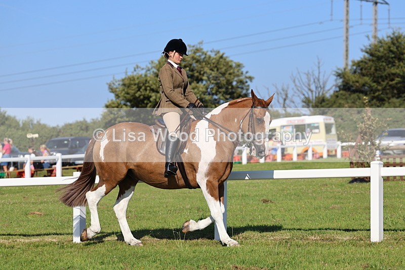 IMG_1416 - Class 29:  Ridden Native/Trad Coloured Horse