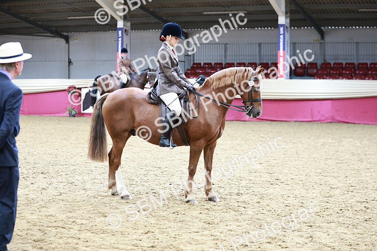 SBM_02227 - Class 4A - Area Ridden Diamond