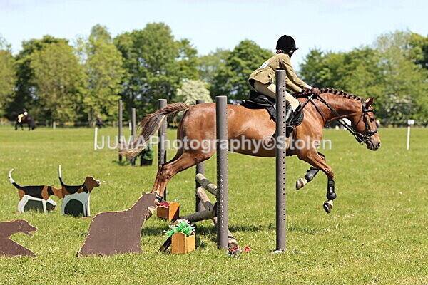 IMG_3626 - Working Hunter