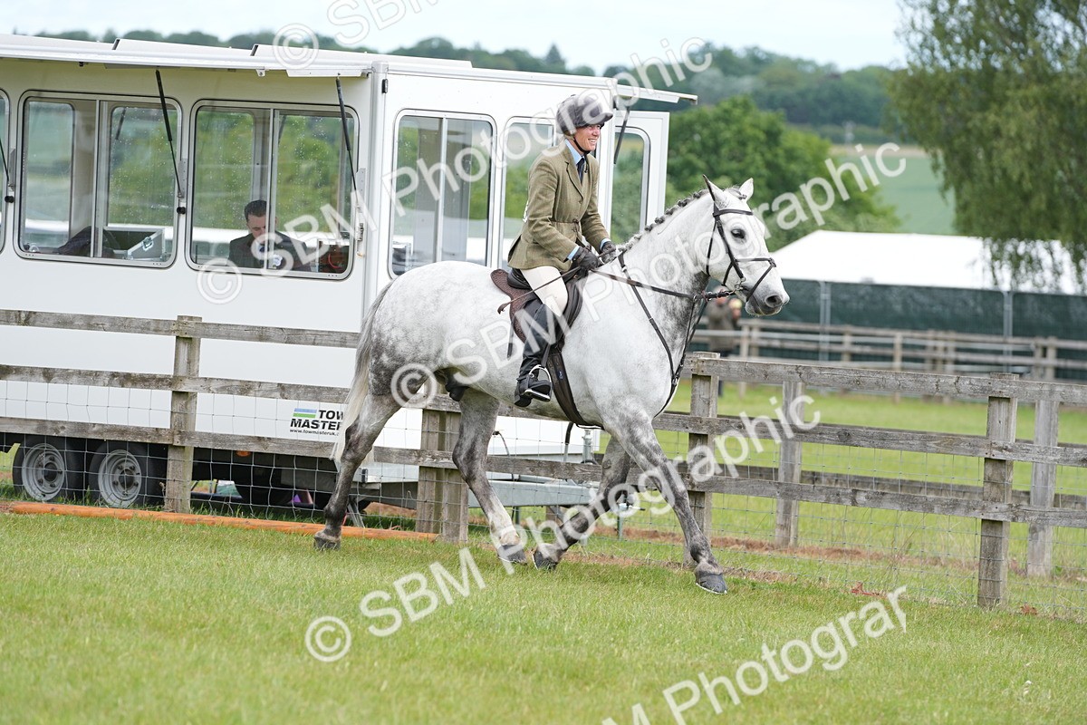 SBM_14872 - Class 100-102 - RIHS Working Hunter