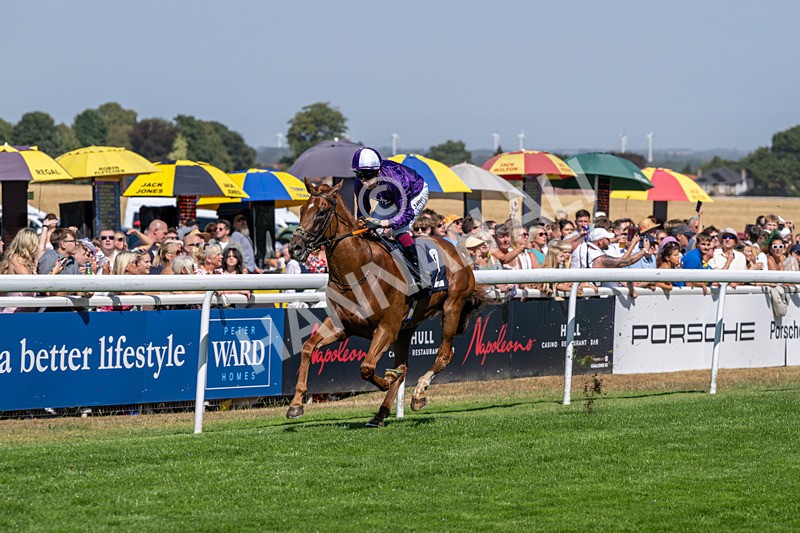 120826-Race 2-Empire Rising-5639 - Race 2 14.45pm 911 At Porsche Centre Hull EBF Restricted Maiden Stakes