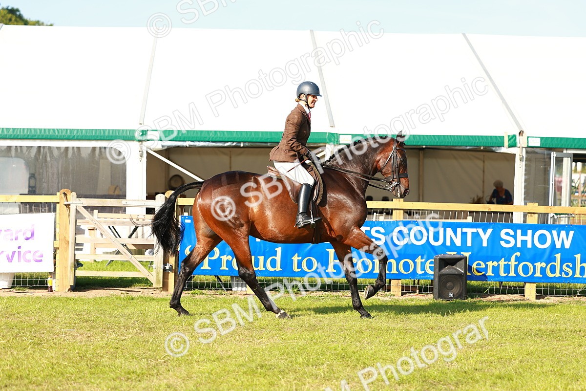 SBM_10735 - Class 66-69 - RIHS Ridden Hunters Inc Small Hunter