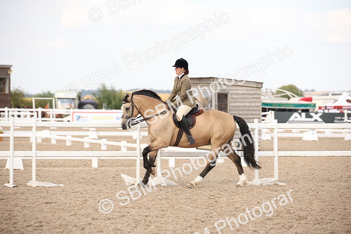 SBM_08789 - Class 12R Regional Ridden Pre-Vet