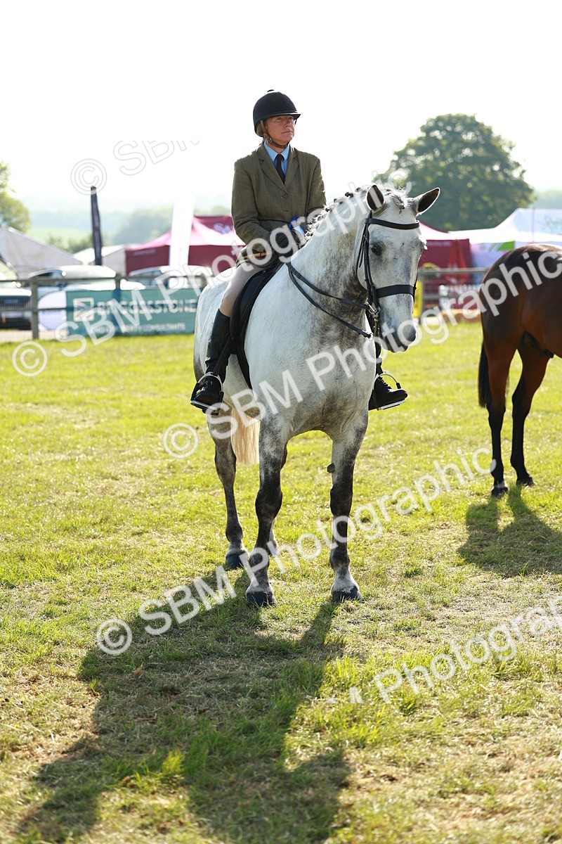 SBM_10832 - Class 66-69 - RIHS Ridden Hunters Inc Small Hunter