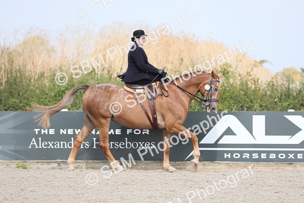 SBM_14523 - Class 211 Best Side Saddle Horse/Pony