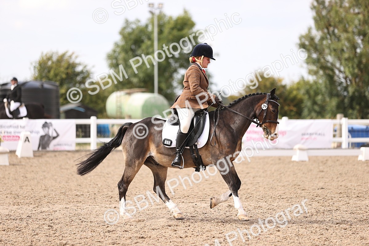 SBM_06067 - Class 37 Novice 5