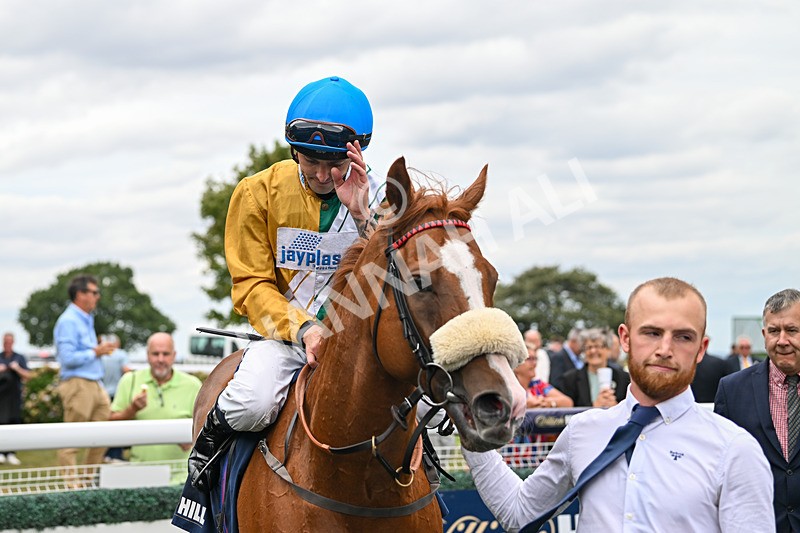 300825-Race 2-Shagraan-0799 - Race 2