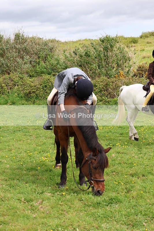 3E7A1566 - Class 8: Ridden Veteran Junoir and Senior