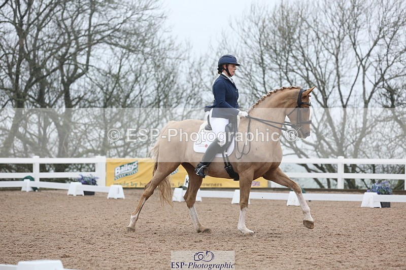 240217A-123454-02913 - 274-Clare.Smith-Dori.Dragon.Fly