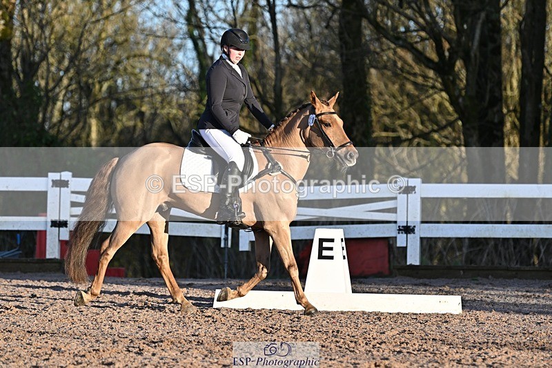 250125-090117-00004 - Dressage - CT Class 1 & 2 Intro 1