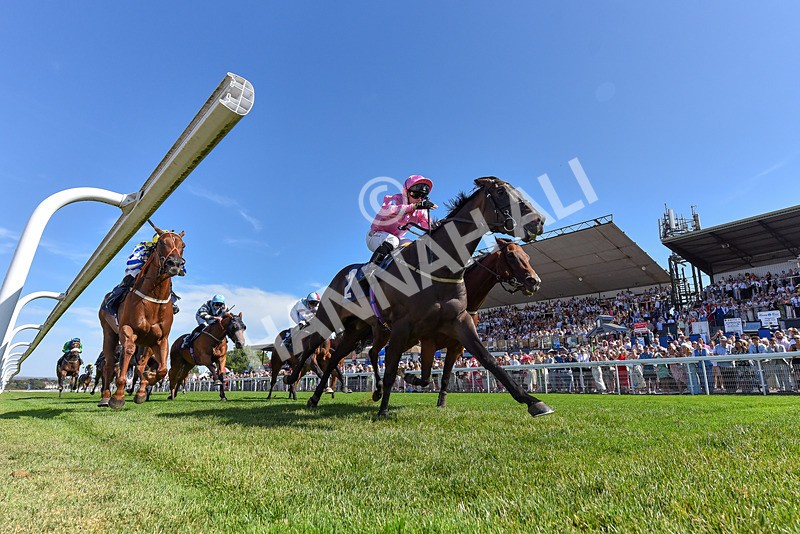 120826-Race 3-Sir David-4886 - Race 3 15.15pm Clearanswer Call Centres Handicap