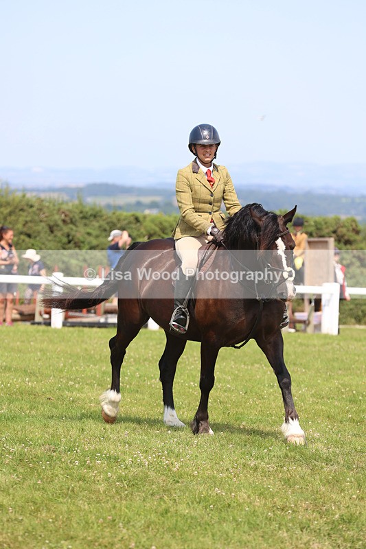 JPP_3544 - Class 23: Working Hunter 80cm