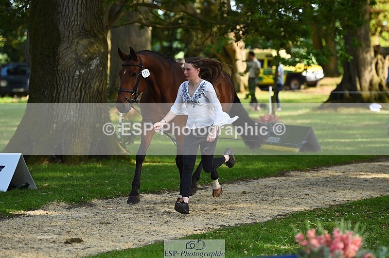 230524-171604-01388 - 171-SLANEYSIDE_COOLEY-Lara_Chapple-WEDTrotUp+DR