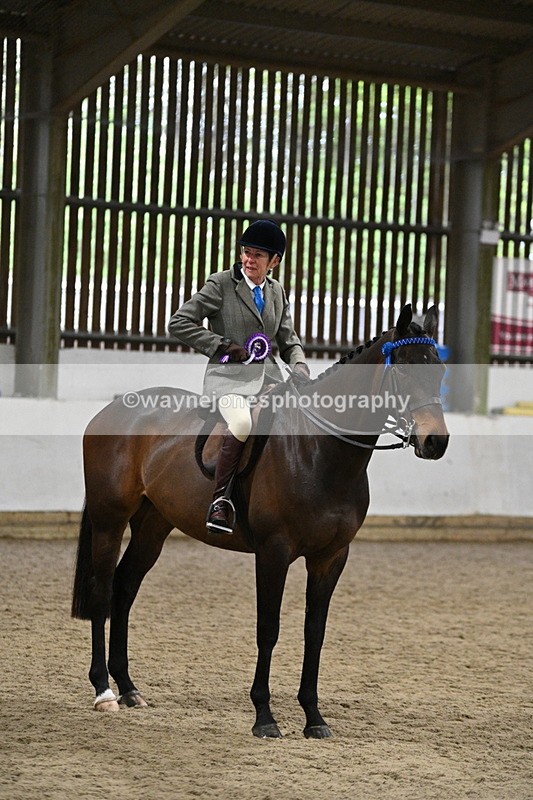 WJ7_4377 - Class 17 Ridden Cob