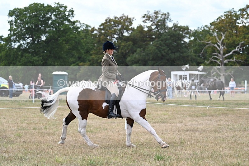 WJ7_5648 - Class 12 Ridden Cob