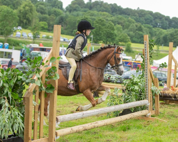 Dunblane show-83 - Dunblane and Doune Show Ring 1