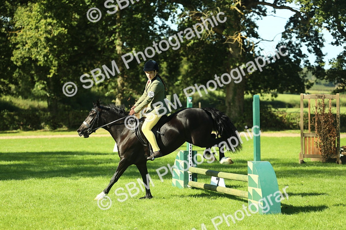 SBM_37403 - S29 - Novice & Newcomers Working Hunter Pony