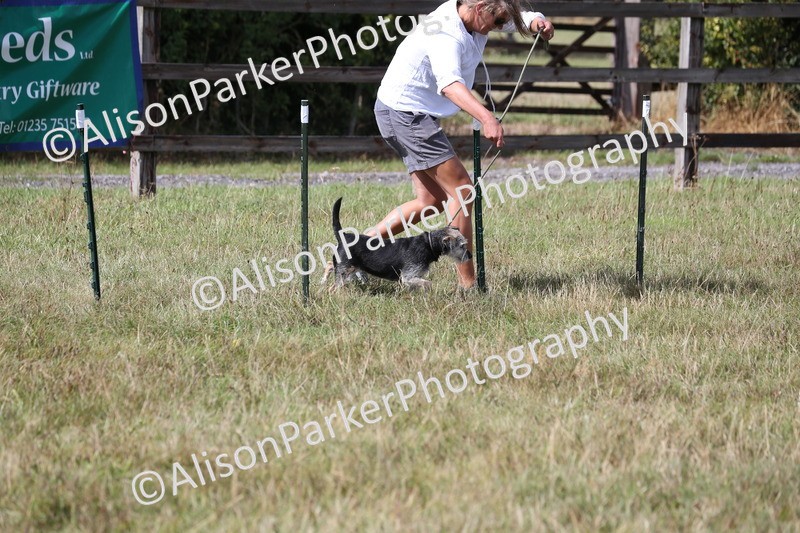 20260906-3406 - Class 34 - Dog Agility