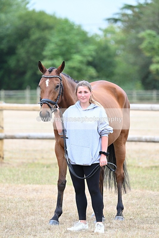 WJ7_9871 - Class 5a Most Handsome Gelding (above 14.2hh)