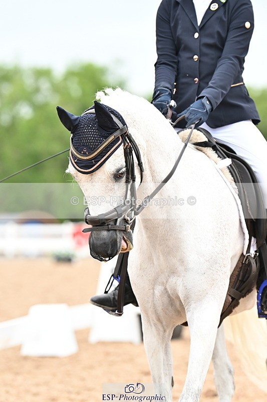 240623A-111650-17438 - Cls 48 BD Novice 37A