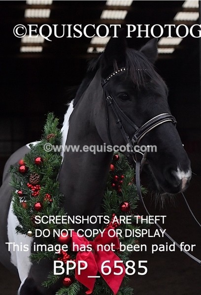 BPP_6585 - Morna Russell