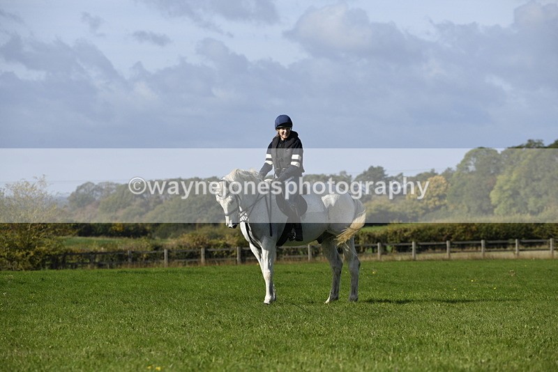 _DSC5493 - Time 10:49 to 11:23