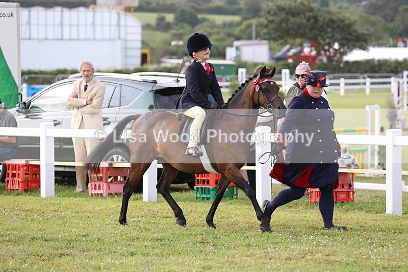 JPP_0237 - Class 14: Cornish Combination Leading Rein