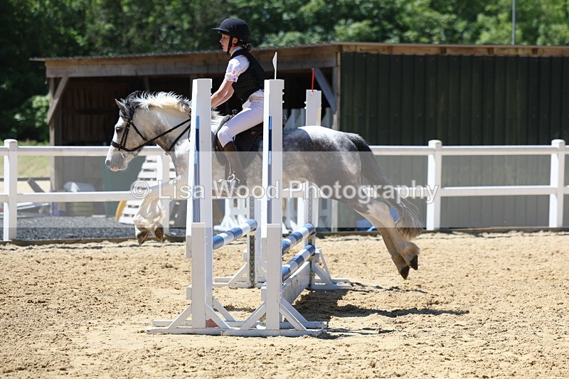 3E7A2411 - Class 4/5: 60cm Open Teams and Individuals