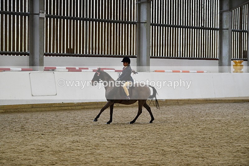 WJ5_6960 - Class 10 Childs Pony