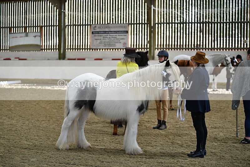 WJ5_4013 - Class 2 Best Condition In hand