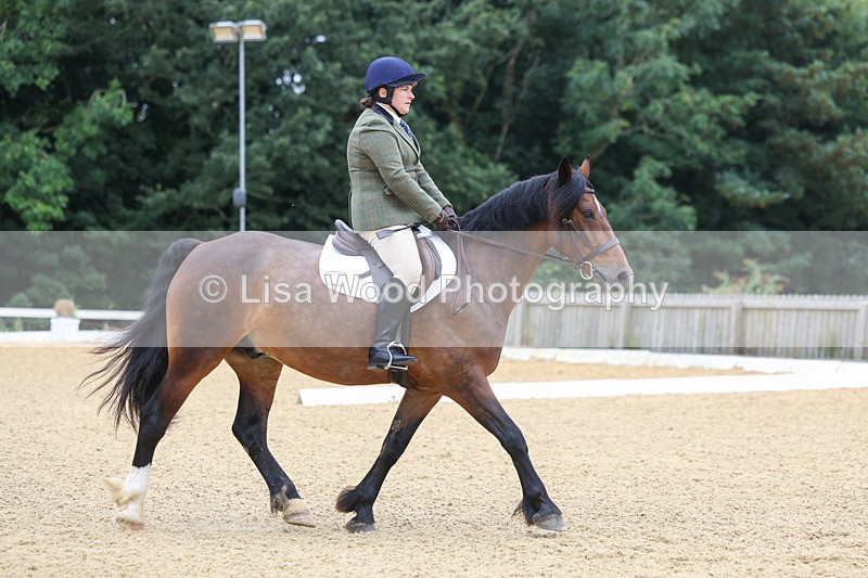 3E7A4591 - Class 1: Intro 4 2024 section A