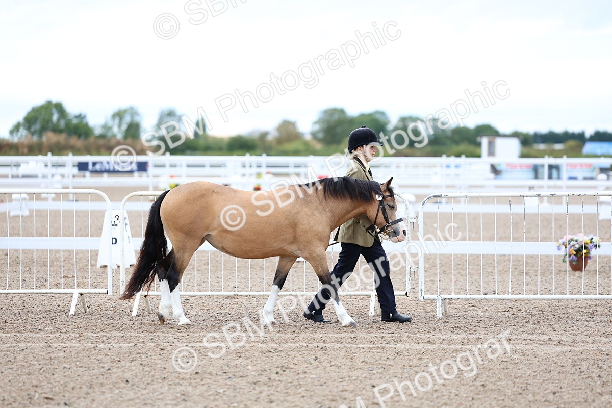 SBM_00219 - Class 13 - Young Handler