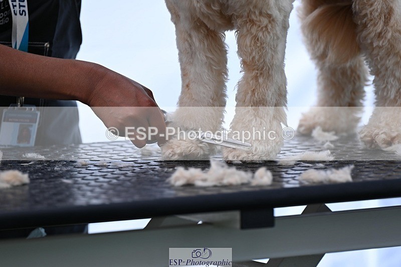 240525-114906-12636 - Candid and Saturday Hobby Horse