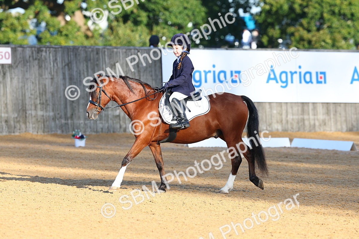 SBM_33505 - D26 - Test Starter Test 1