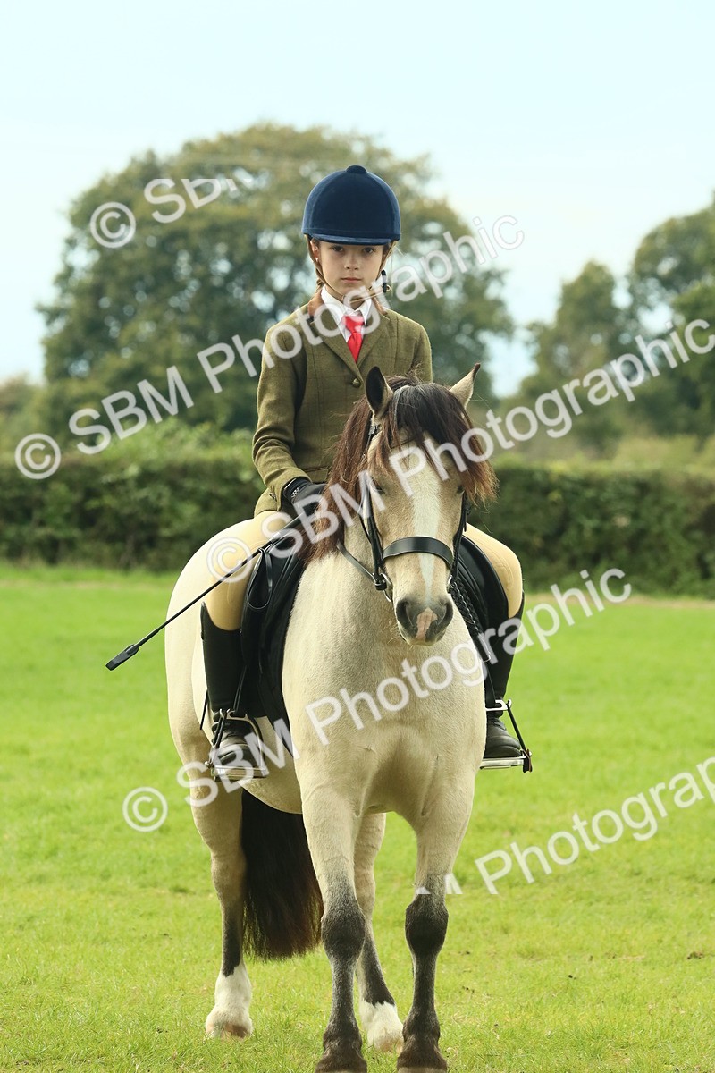 SBM_69979 - S59 - Mountain & Moorland Ridden Small Breeds