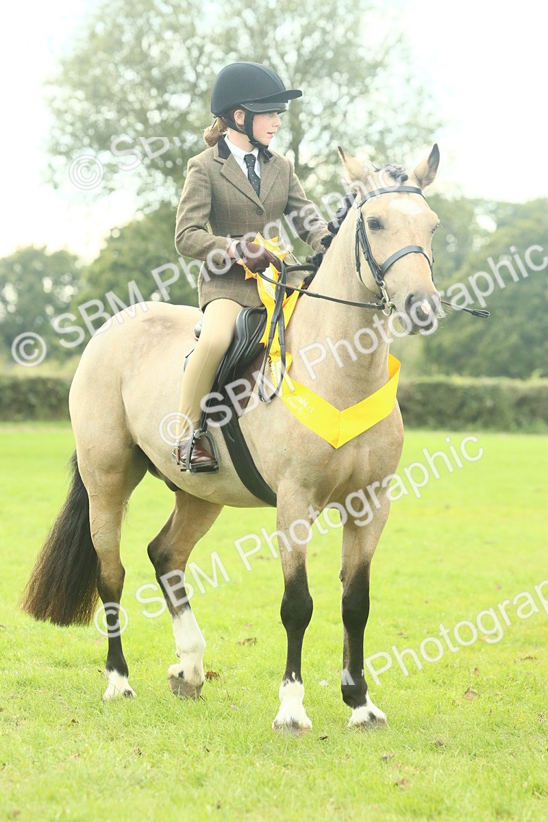 SBM_74122 - S 61 - Show Pony & Show Hunter Pony Ridden