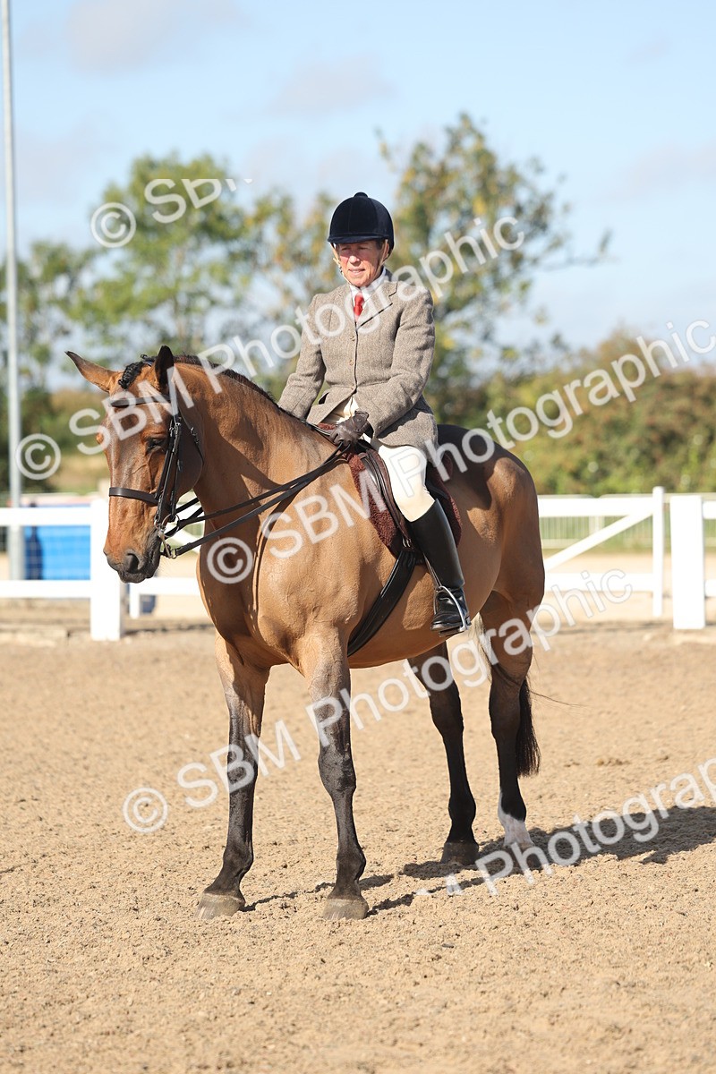 SBM_22311 - Class 803 - Ridden Combination 65+