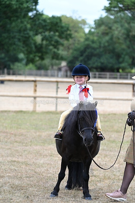 WJ7_8602 - Class 4 Prettiest Mare up to 14.2hh