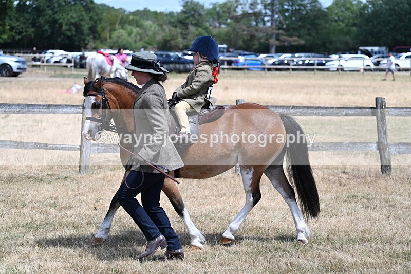 WJ7_2586 - Class 6 Ridden Mountain and Moorland