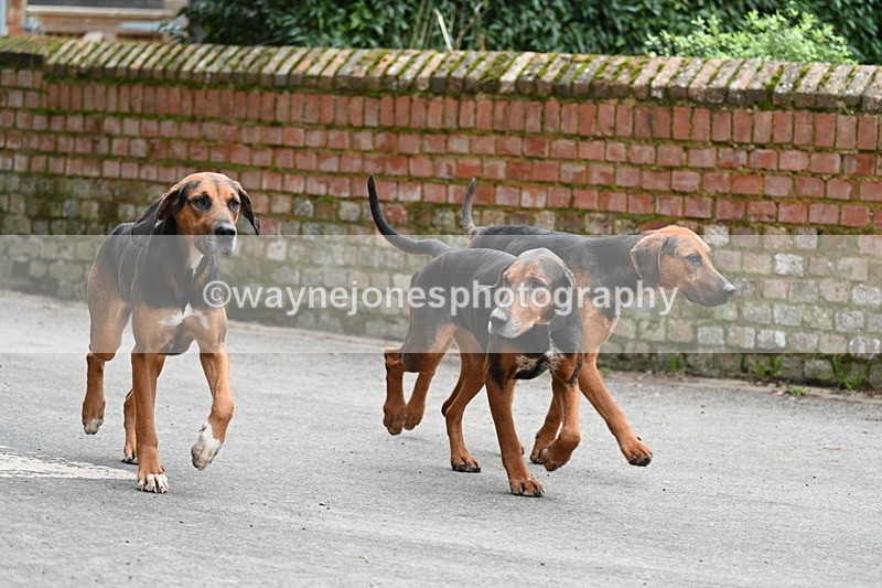 WJ7_1038 - Pub Corner