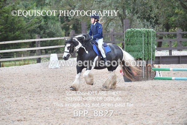 BPP_8827 - CLASS 3 40CM