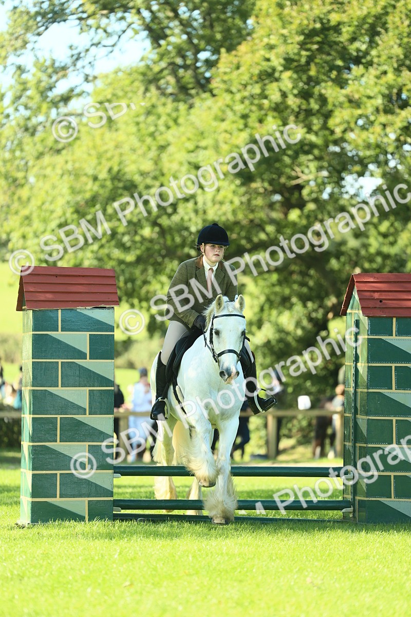 SBM_37392 - S29 - Novice & Newcomers Working Hunter Pony