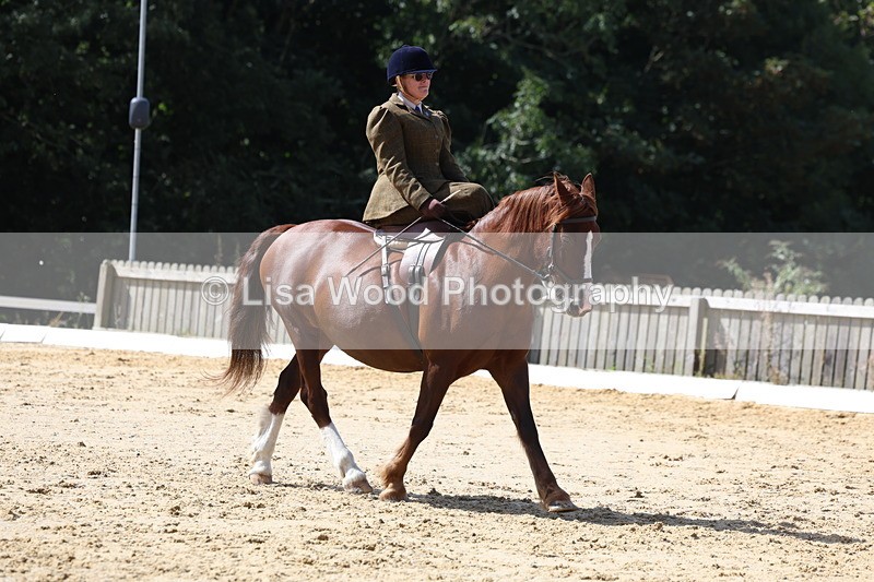 3E7A3540 - Class 7:  Preliminary Music